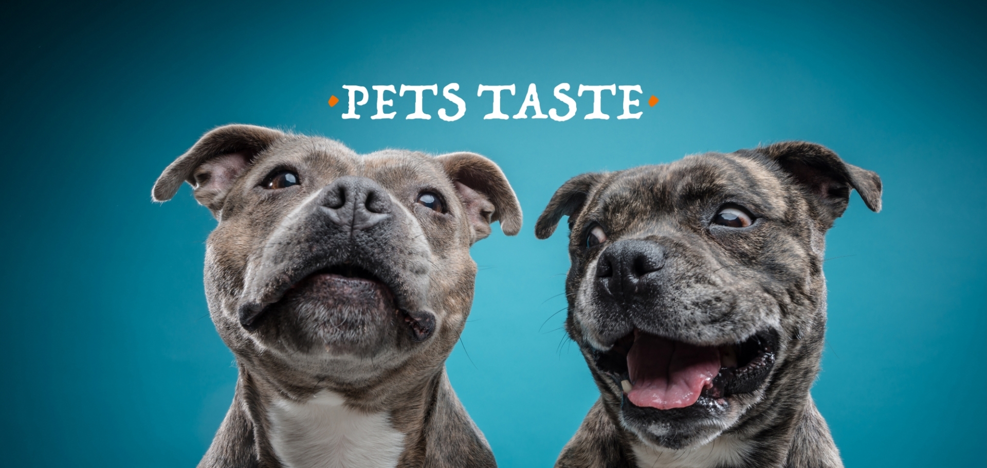 Pets Taste