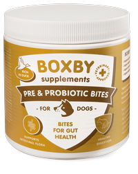 Pre & Probiotic Bites